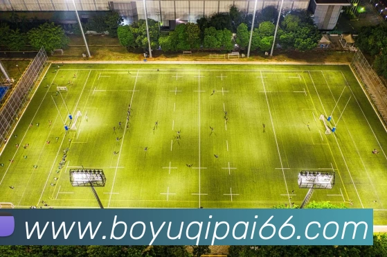 多媒体互动体验